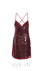 stephanie wine sequin mini dress