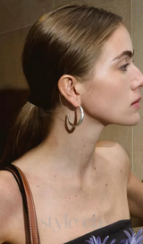 Needle Earrings in silver