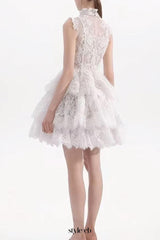 Sleeveless Stand Collar Lace Tutu mini dress in white