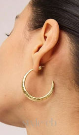 Needle Earrings in gold