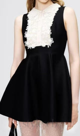 Daray Black Lace Sleeveless Mini Dress