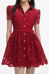 Burgundy Lace Collared Mini Dress