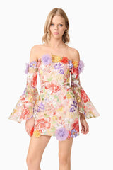 tabitha multicolor Off Shoulder Mini Dress in Floral