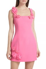 Dilanne Floral Appliqué Mini Dress in Pink