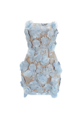 jessica floral embroidery Mini Dress in Blue