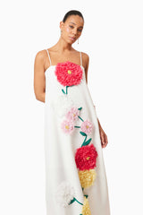judy Buttercup Embroidered Maxi Dress in White