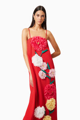 judy Buttercup Embroidered Maxi Dress In Red
