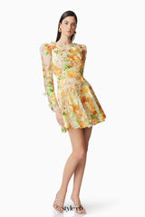 Aella A-Line floral embroidery Mini Dress in Yellow