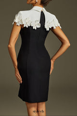 alma Collar Flower Mini Dress In Black