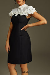 alma Collar Flower Mini Dress In Black