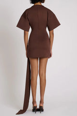 Draped Embellished Mini Dress - Brown