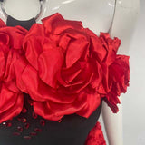 sebastiane Halterneck Flower Bandage Maxi Dress in black