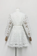 lapel hollow embroidery puff sleeve mini dress in white