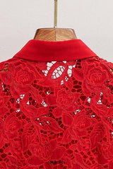 Burgundy Lace Collared Mini Dress