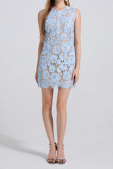 eunice hollow pencil Lace mini Dress in blue