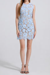 eunice hollow pencil Lace mini Dress in blue