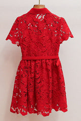 Burgundy Lace Collared Mini Dress