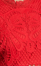 Long Puff Sleeve Lace Mini Dress