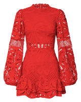 Long Puff Sleeve Lace Mini Dress