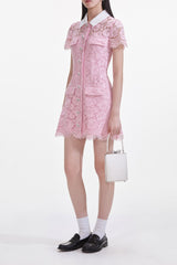 Pink Lace Collared Mini Dress
