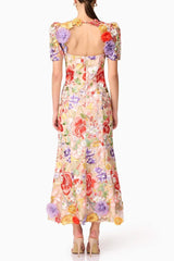 trista multicolor Square Neck backless Mesh Embroidered Fishtail maxi Dress
