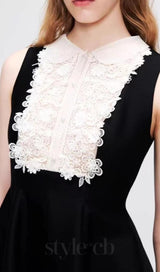 Daray Black Lace Sleeveless Mini Dress