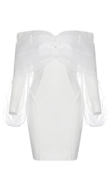 ONE-LINE SHOULDER-TOP TULLE DRESS IN WHITE styleofcb