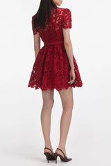 Burgundy Lace Collared Mini Dress