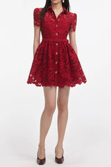 Burgundy Lace Collared Mini Dress