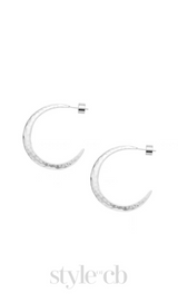 Needle Earrings in silver