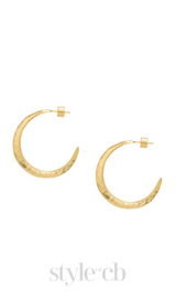 Needle Earrings in gold