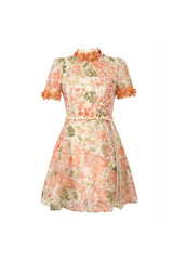 Embroidered hollow floral puff sleeves mini dress