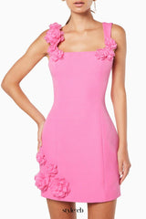 Dilanne Floral  Appliqué Mini Dress in Pink