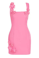 Dilanne Floral  Appliqué Mini Dress in Pink