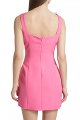 Dilanne Floral  Appliqué Mini Dress in Pink