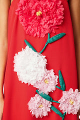 judy Buttercup Embroidered Maxi Dress In Red