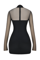 Kieran Halter Plunge Mesh Mini Dress