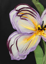 Rosario Appliqué Floral Bustier Mini Dress in black