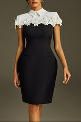 alma Collar Flower Mini Dress In Black