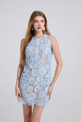 eunice hollow pencil Lace mini Dress in blue
