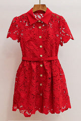 Burgundy Lace Collared Mini Dress