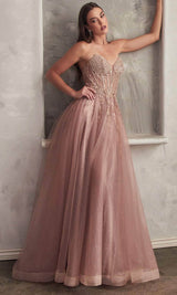 Ladivine  Beaded Appliqued A-Line Prom Gown