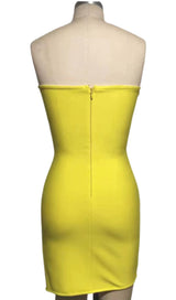 CRYSTAL FLOWER MINI DRESS Dresses styleofcb 