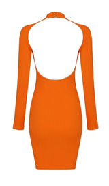 Collar hollow open back knitted dress styleofcb 