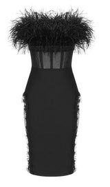LACE FEATHER DRESS IN BLACK Dresses styleofcb 